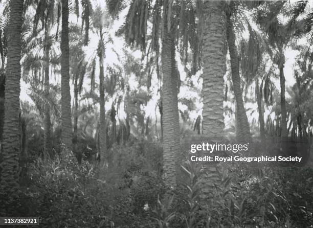 George Rendel 762 Saudi Arabia 1930 Stock Photos, High-Res Pictures, and Images ...