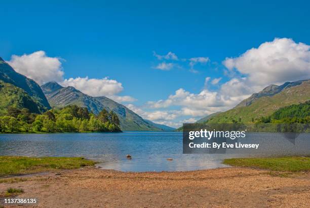 loch shiel - lakeshore stock pictures, royalty-free photos & images