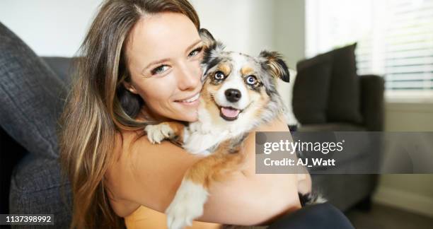 isn't he just adorable? - dog looking at camera stock pictures, royalty-free photos & images
