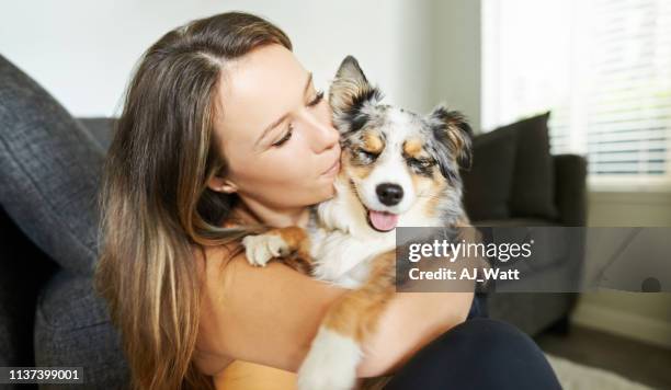 cuddles and kisses make for a happy pet - dog kiss stock pictures, royalty-free photos & images