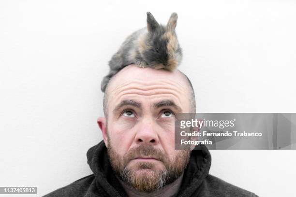 bunny on top of a man's head - moustaches animales fotografías e imágenes de stock
