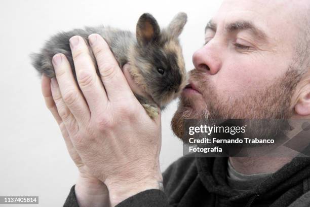 man kissing a rabbit - lapereau photos et images de collection