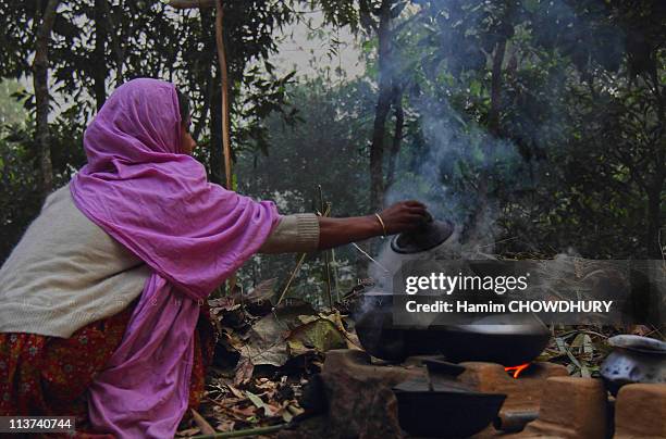 earth made oven - bangladesh stock pictures, royalty-free photos & images