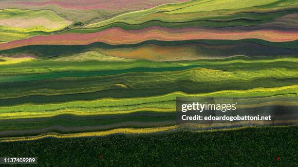 abstract landscape 12 - bicolor color imagens e fotografias de stock