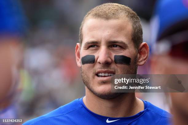 Cubs Spring Training 2019 Photos and Premium High Res Pictures - Getty ...