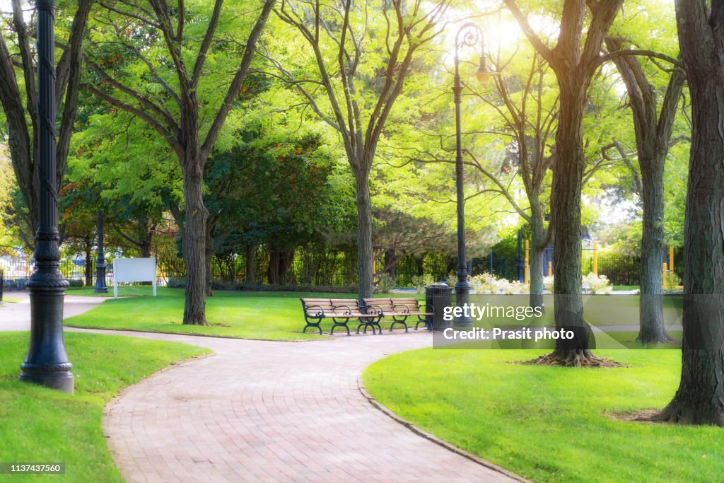 Empty bench in green park and sky with sun light, Green park outdoor