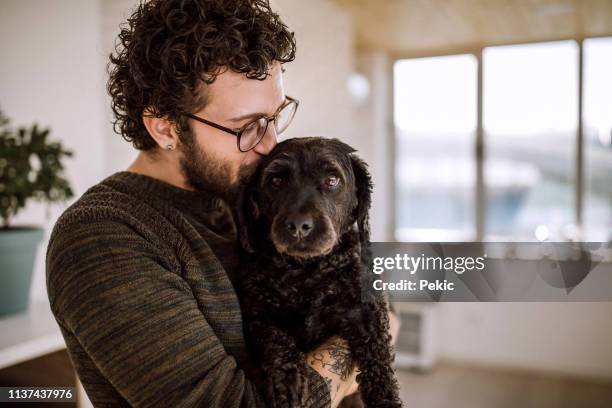 mijn echte beste vriend - black poodle stockfoto's en -beelden