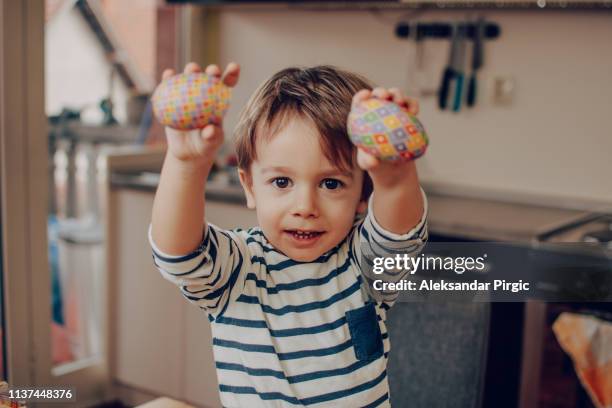 easter - mammal egg stock pictures, royalty-free photos & images