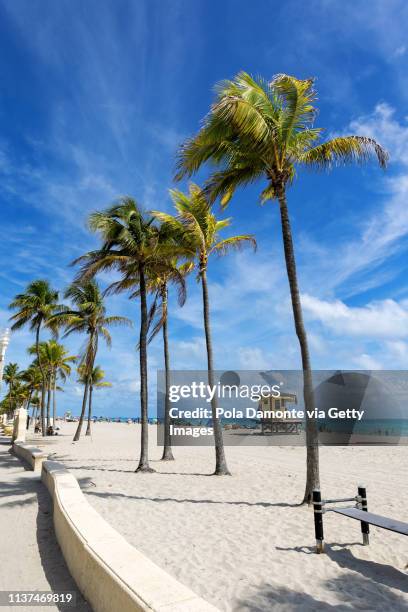 hollywood beach scene at north miami, florida, usa. - hollywood florida bildbanksfoton och bilder