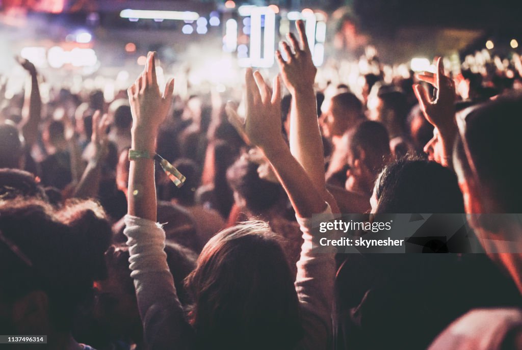 Crowd on a music festival!