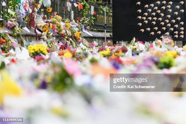 Flowers and condolences are seen at the entrance to the Christchurch Botanic Gardens, close to Al Noor mosque, on March 22, 2019 in Christchurch, New...
