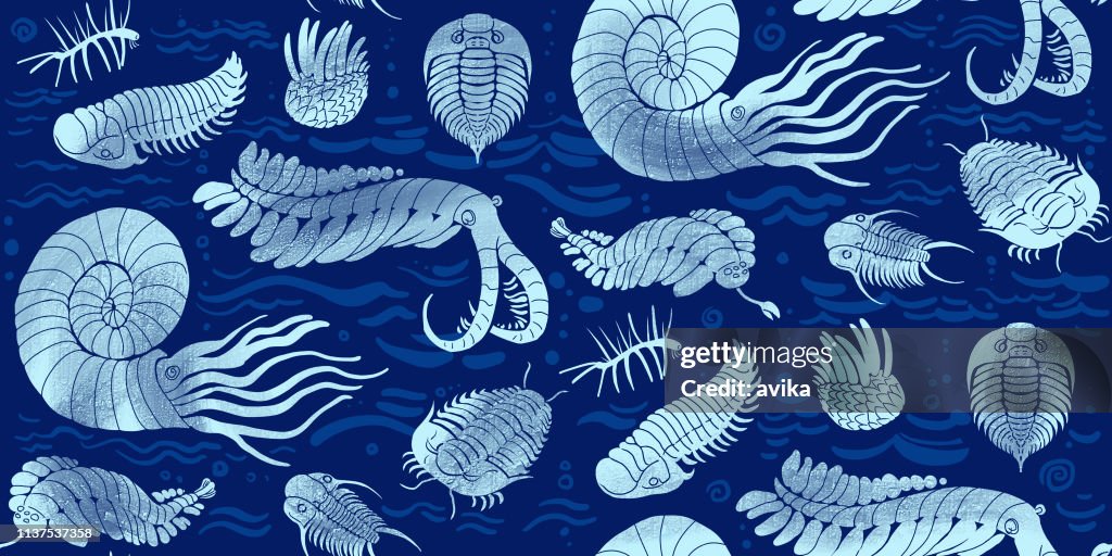 Seamless pattern with Cambrian, Ordovician sea animals: Trilobites, Anomalocaris and others on dark blue background