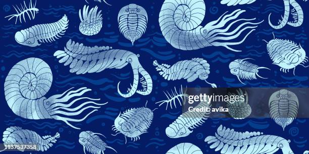 seamless pattern with cambrian, ordovician sea animals: trilobites, anomalocaris and others on dark blue background - trilobit stock illustrations