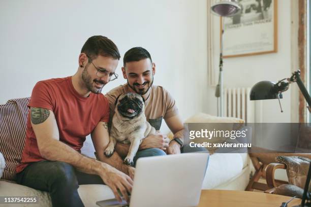 leende homosexuella par med mops använda laptop hemma - gay man bildbanksfoton och bilder