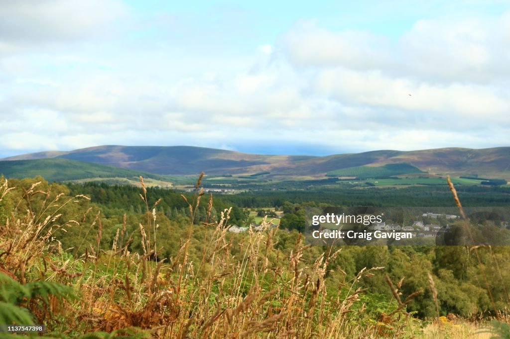Hill top overlooking grantown-on-spay