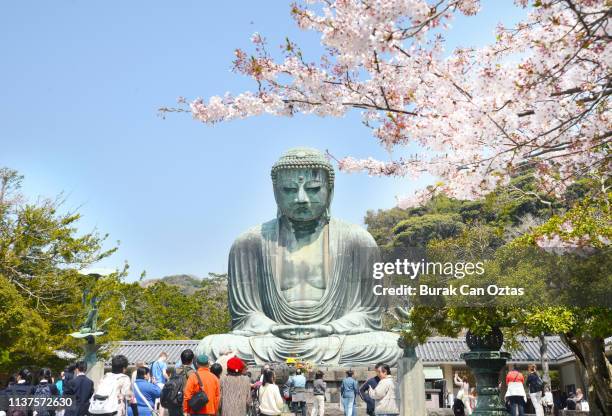 der große buddha von kamakura - kamakura stock-fotos und bilder