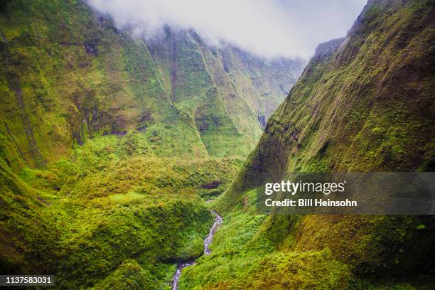 kalalau valley, hawaii - tectonic stock pictures, royalty-free photos & images