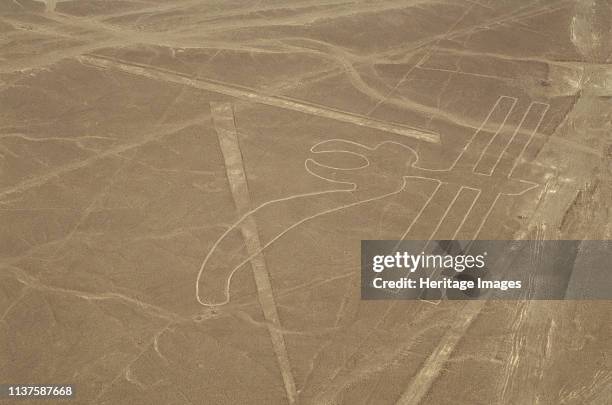 The Nazca Lines are a series of large ancient geoglyphs in the Nazca Desert, in southern Peru, designated as a UNESCO World Heritage Site in 1994....