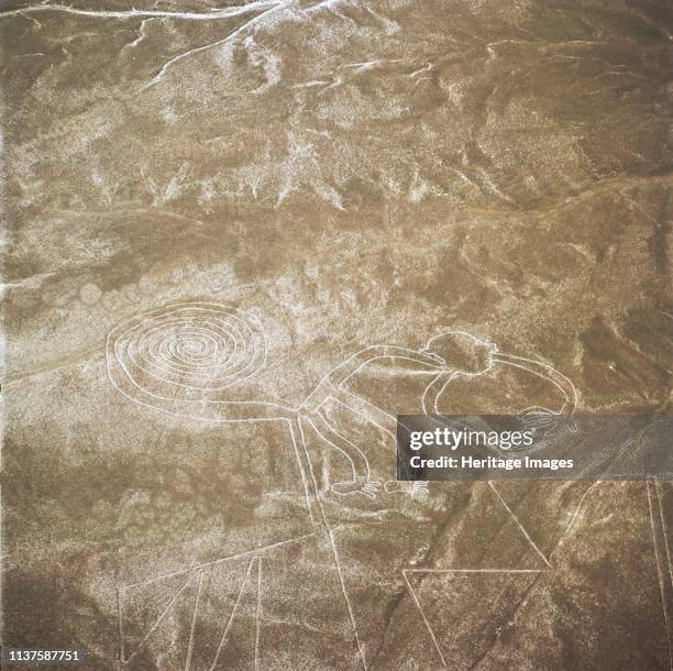 The Nazca Lines are a series of large ancient geoglyphs in the Nazca Desert, in southern Peru,designated as a UNESCO World Heritage Site in...