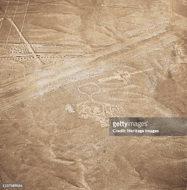 The Nazca Lines are a series of large ancient geoglyphs in the Nazca Desert, in southern Peru,designated as a UNESCO World Heritage Site in 1994....