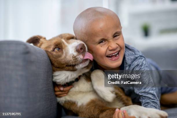smiling boy with his dog - childhood cancer stock pictures, royalty-free photos & images
