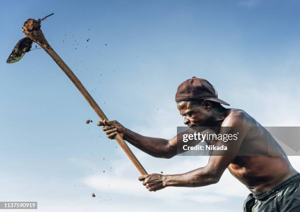 African Farming Rake 1,601 Farmer Rake Stock Photos, High-Res Pictures, and Images - Getty ...