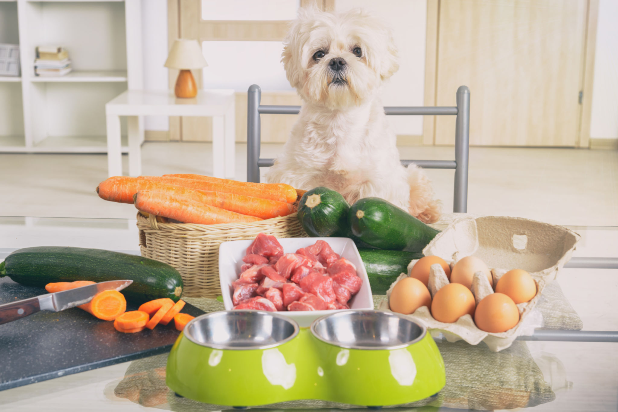 dog meal preparation
