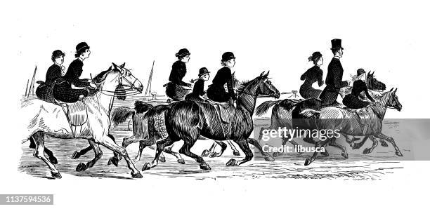 antique illustration by randolph caldecott: horse on beach, brighton - brighton stock illustrations