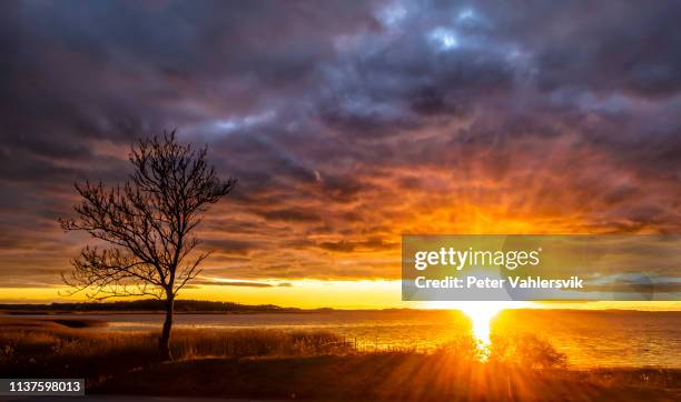 intense zonsondergang over water - verzadigde kleur stockfoto's en -beelden