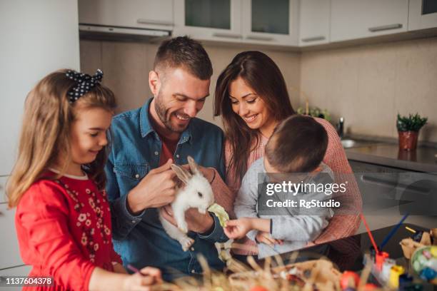 family with a pet - family rabbit stock pictures, royalty-free photos & images