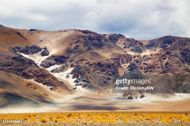 andean landscape, catamarca, argentina. - catamarca stock pictures, royalty-free photos & images