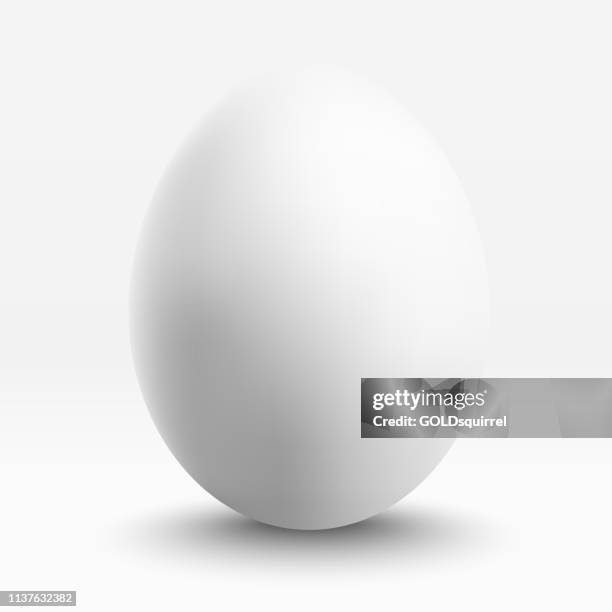 one big photorealistic 3d white egg with soft shadow standing on a smooth surface isolated on white paper background - high reality easter holiday greeting card template in vector - easter egg white background stock illustrations