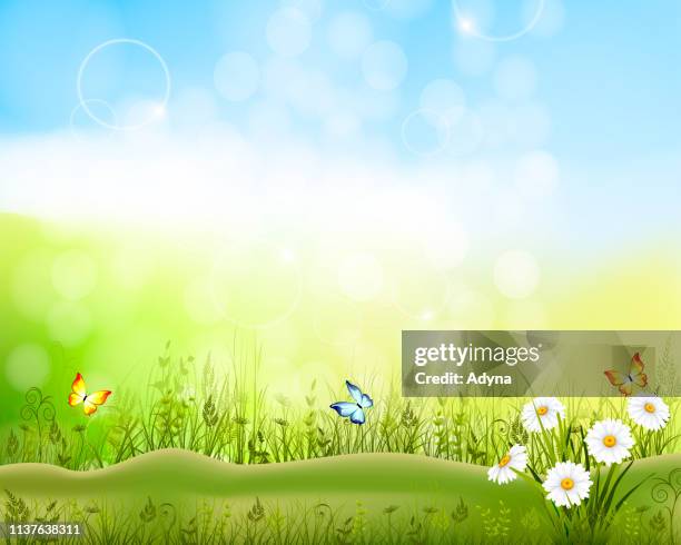 spring background - blurred grass background stock illustrations