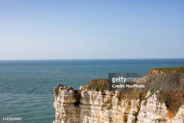 Etretat, Normandy, France, March 25, 2019. The cliff of Aval in good weather. An underground river, followed by marine erosion, formed a natural arch...