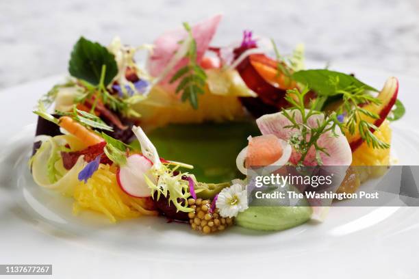 Early Spring Vegetable Salad with Herbed Goat Cheese Espuma, Beets, Radish, Baby Carrots and White Wine Vinaigrette at Gravitas photographed in...