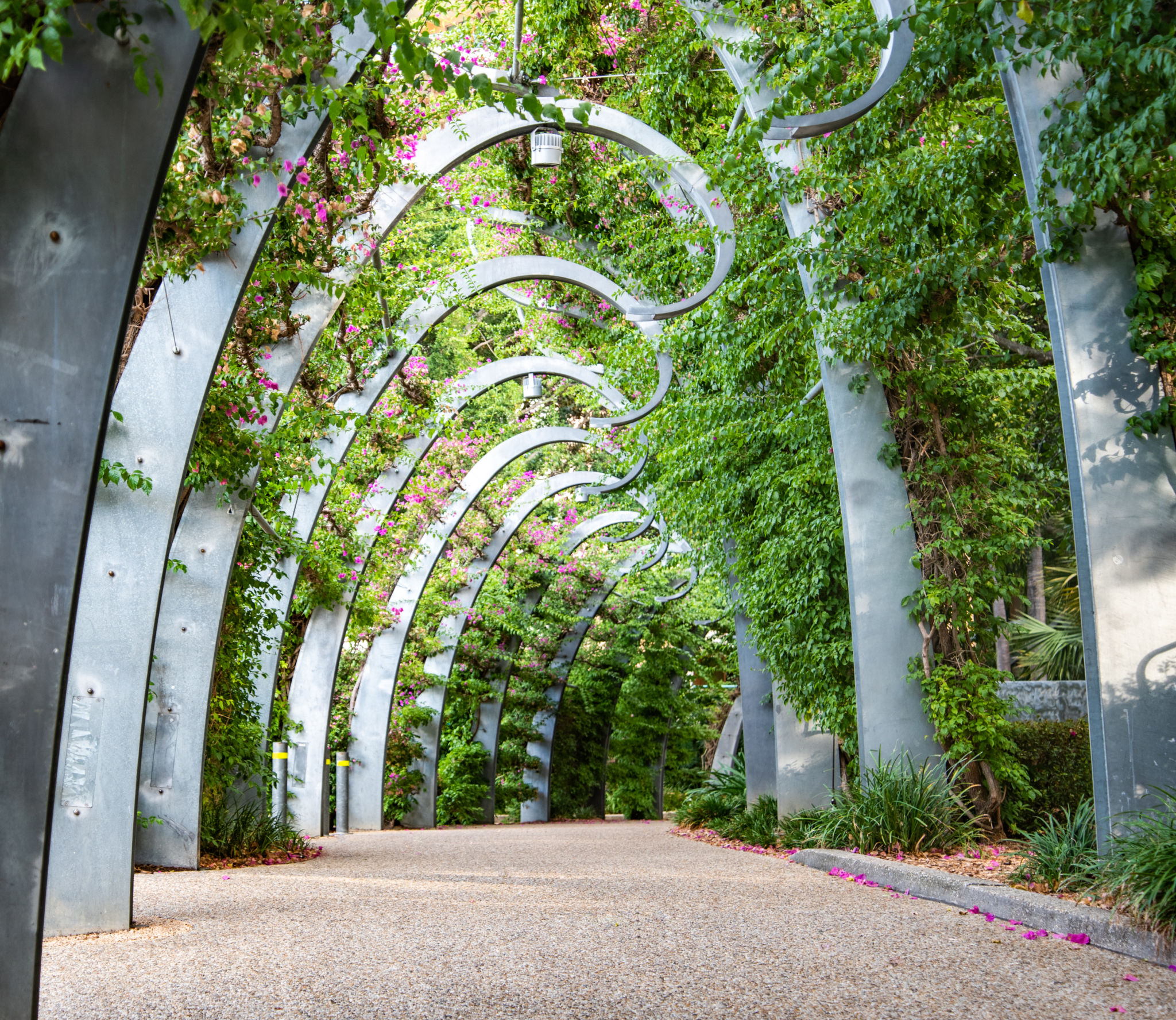 Brisbane urban park