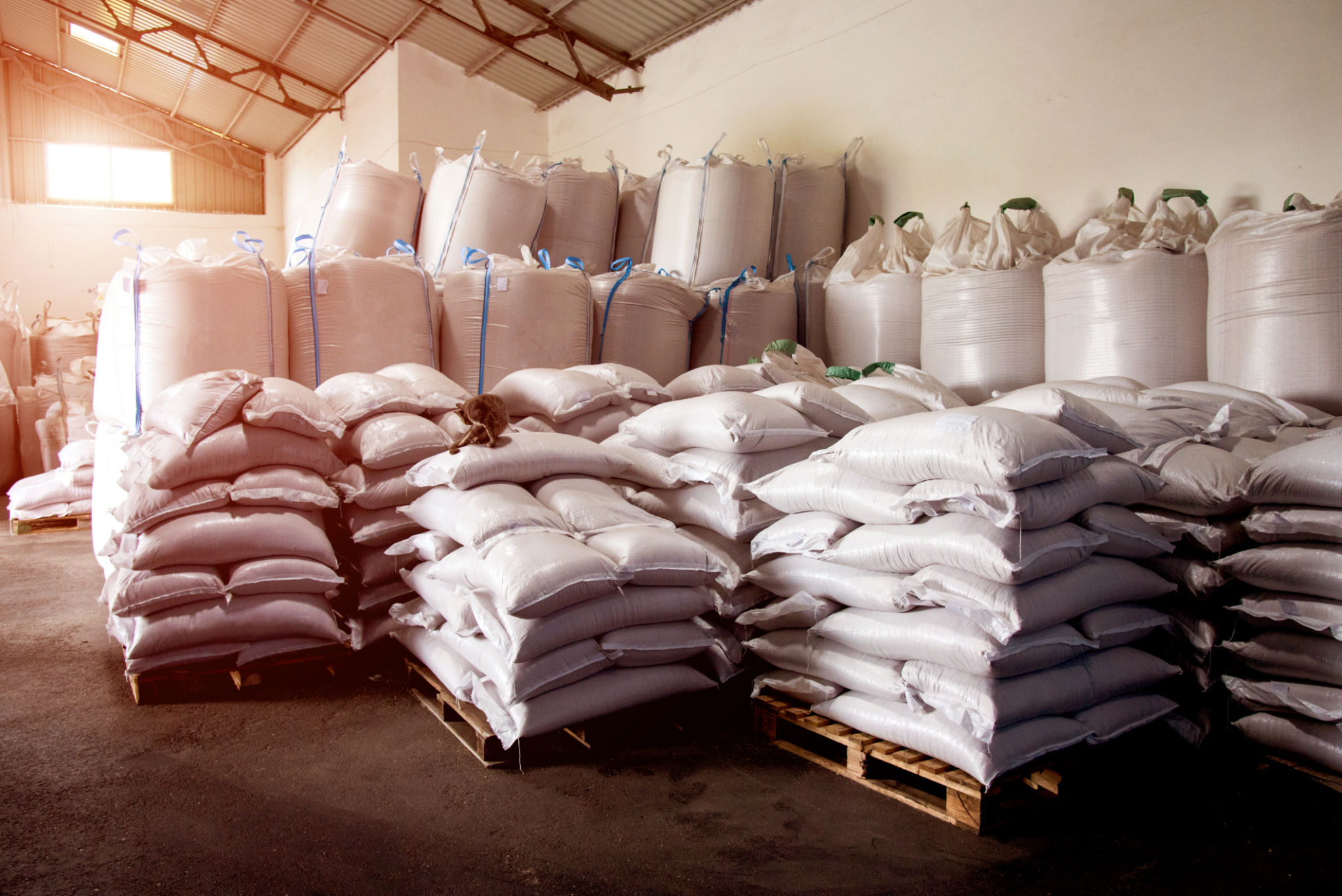 hemp logistics