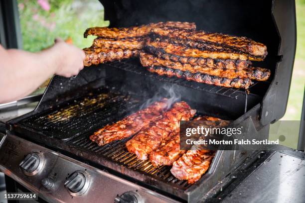 barbecue party in jondal, norway - metal grate fotografías e imágenes de stock