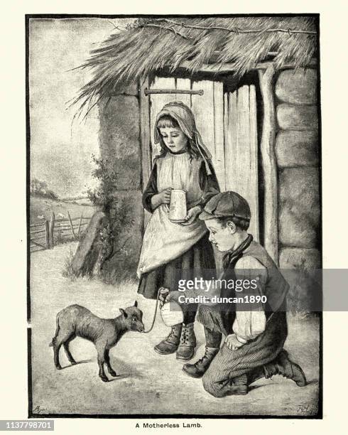 kinder, die sich um ein mütterliches lamm kümmern, viktorianisches 19. jahrhundert - schäferei stock-grafiken, -clipart, -cartoons und -symbole