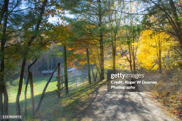 pisgah national forest - road in the wood - pisgah national forest stock pictures, royalty-free photos & images