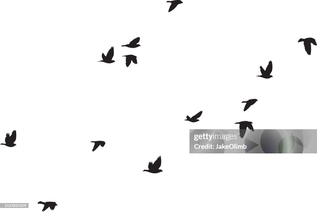 Las palomas volando siluetas 6