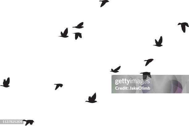 stockillustraties, clipart, cartoons en iconen met duiven vliegen silhouetten 6 - vogelzwerm
