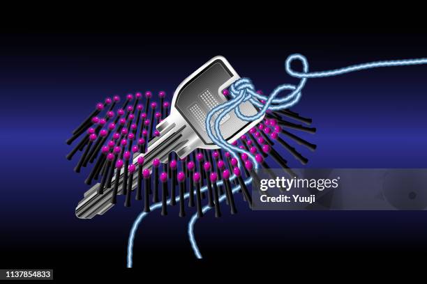 Phone Key String 50 String Telephone Game Stock Photos, High-Res Pictures, and Images ...