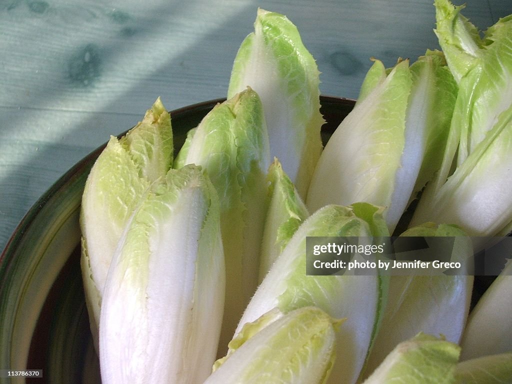 Belgian Endive