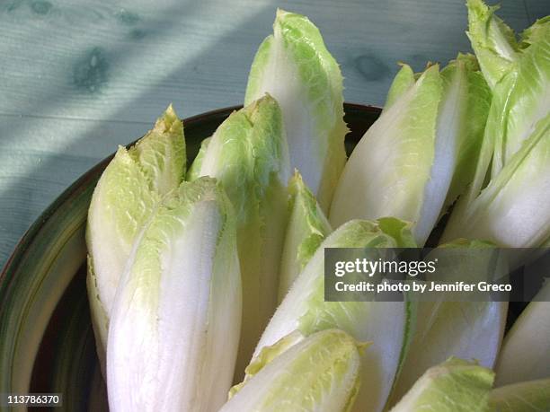 belgian endive - endivie stock-fotos und bilder