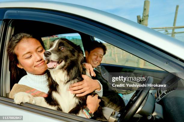 a woman is sitting with a dog in the driver's seat of a car and looking far - asian couple car stock pictures, royalty-free photos & images