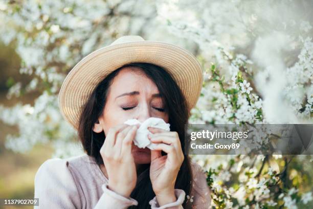 het is het seizoen van niezen - hayfever stockfoto's en -beelden