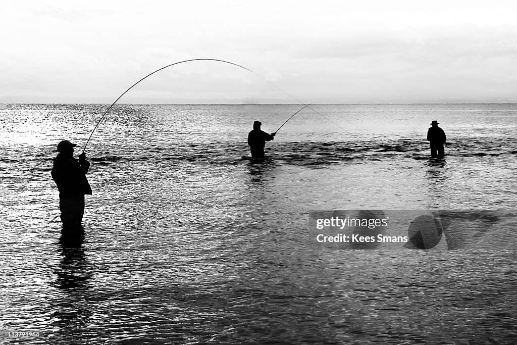 Catch salmon trout during fly fishing