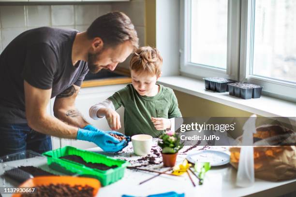 vater und sohn zu hause pflanzen - family gardening stock-fotos und bilder