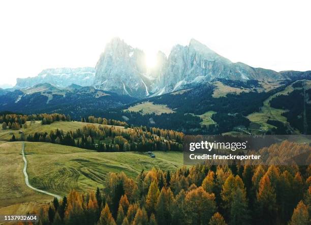 log cabins and dolomites peaks in seiser alm - saddle stock pictures, royalty-free photos & images